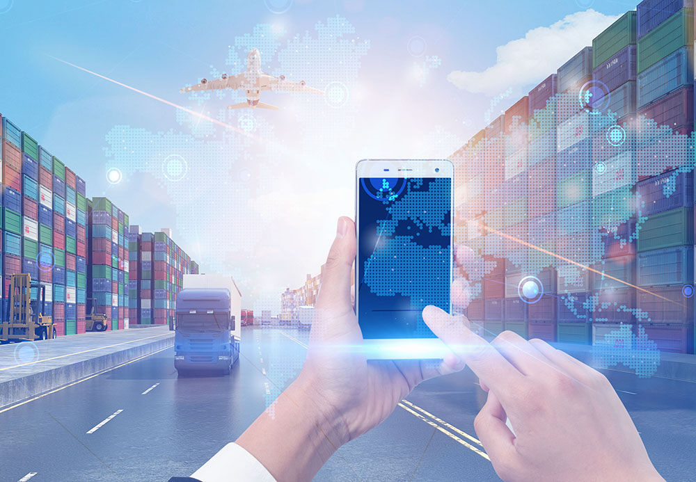 报关/报检/熏蒸